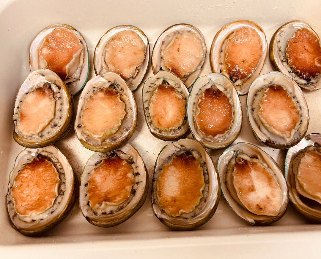 澳洲野生青邊鮑(每盒1KG)