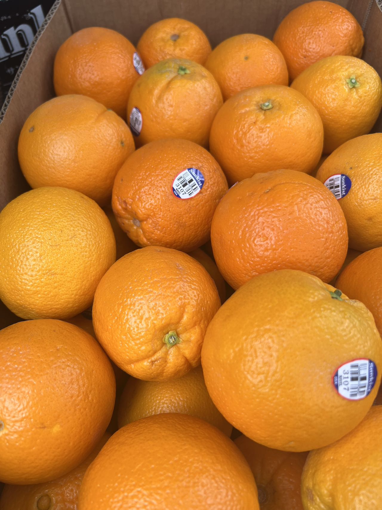 加洲Sunkist 甜橙
