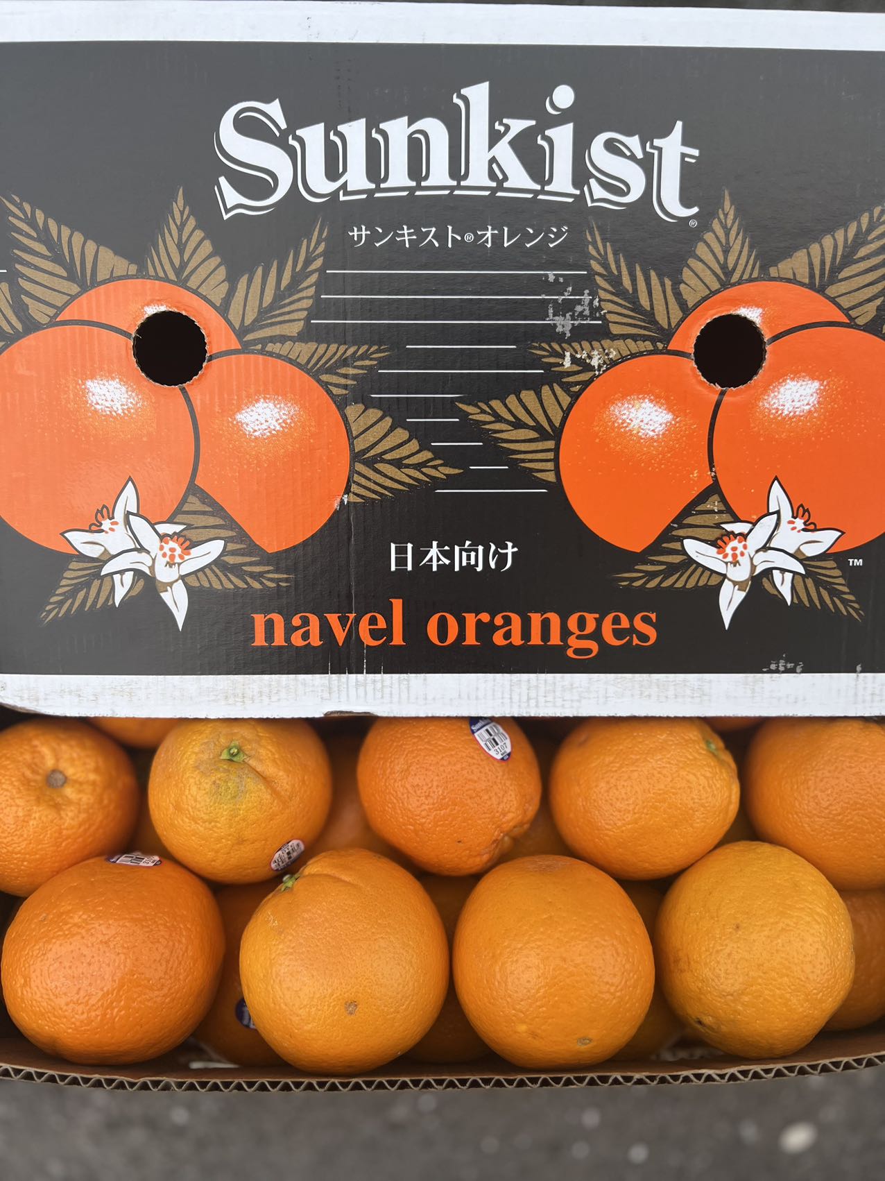 加洲Sunkist 甜橙