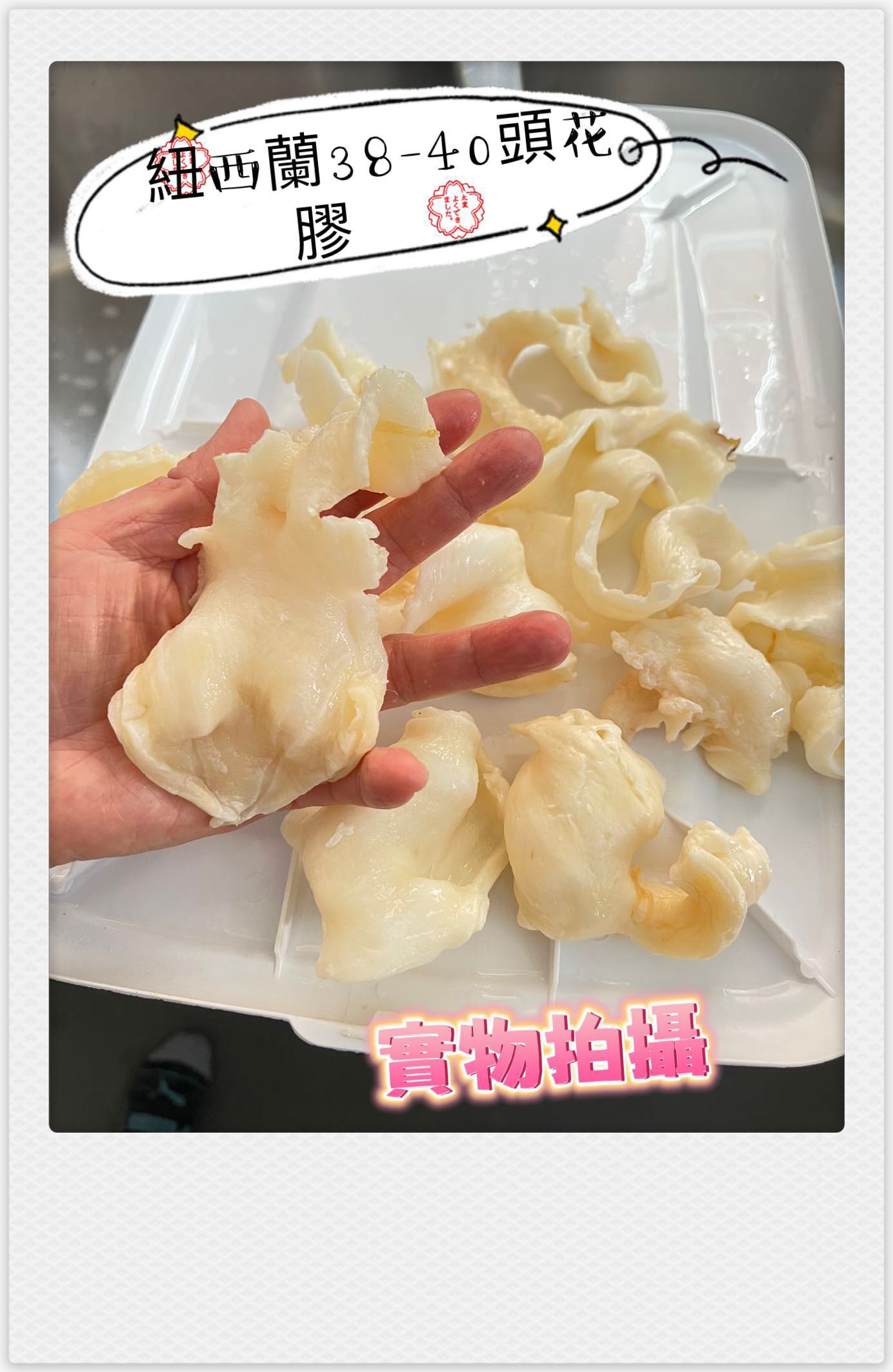 紐西蘭3️⃣8️⃣-4️⃣0️⃣花膠
