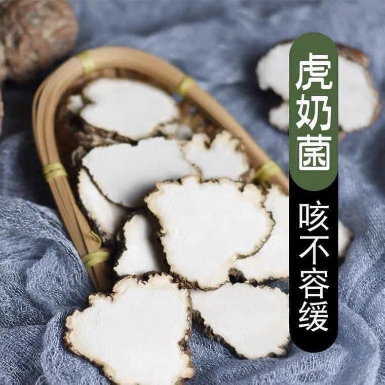 熱帶虎乳菌250g