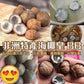 非洲海椰BB 🥥