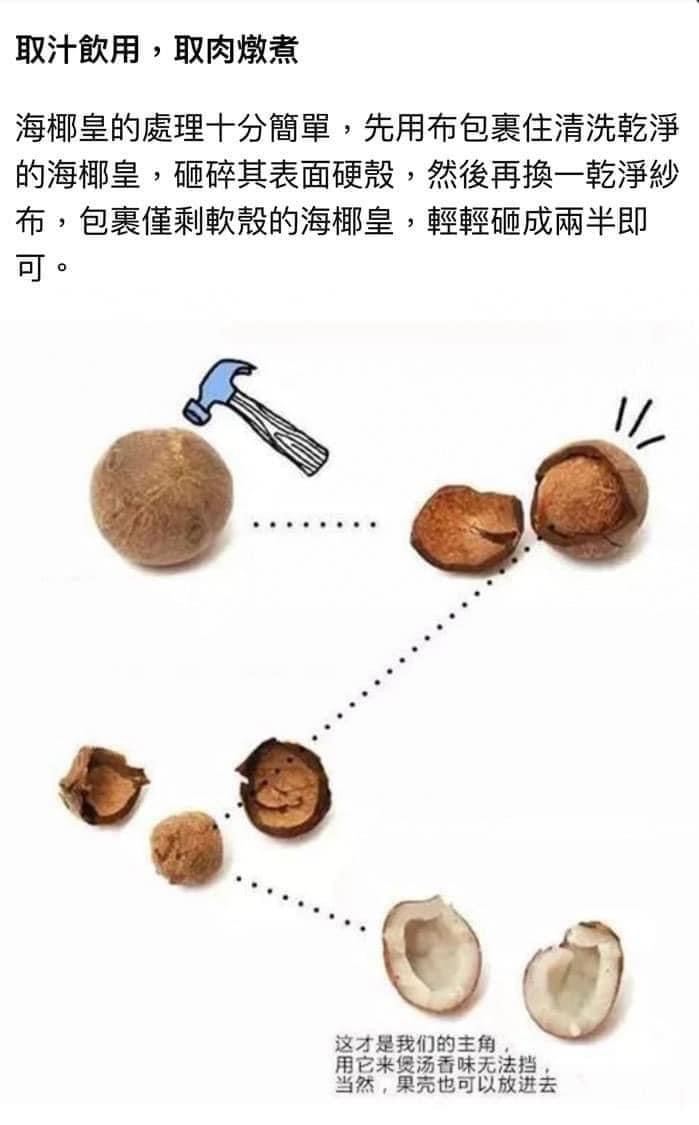 非洲海椰BB 🥥