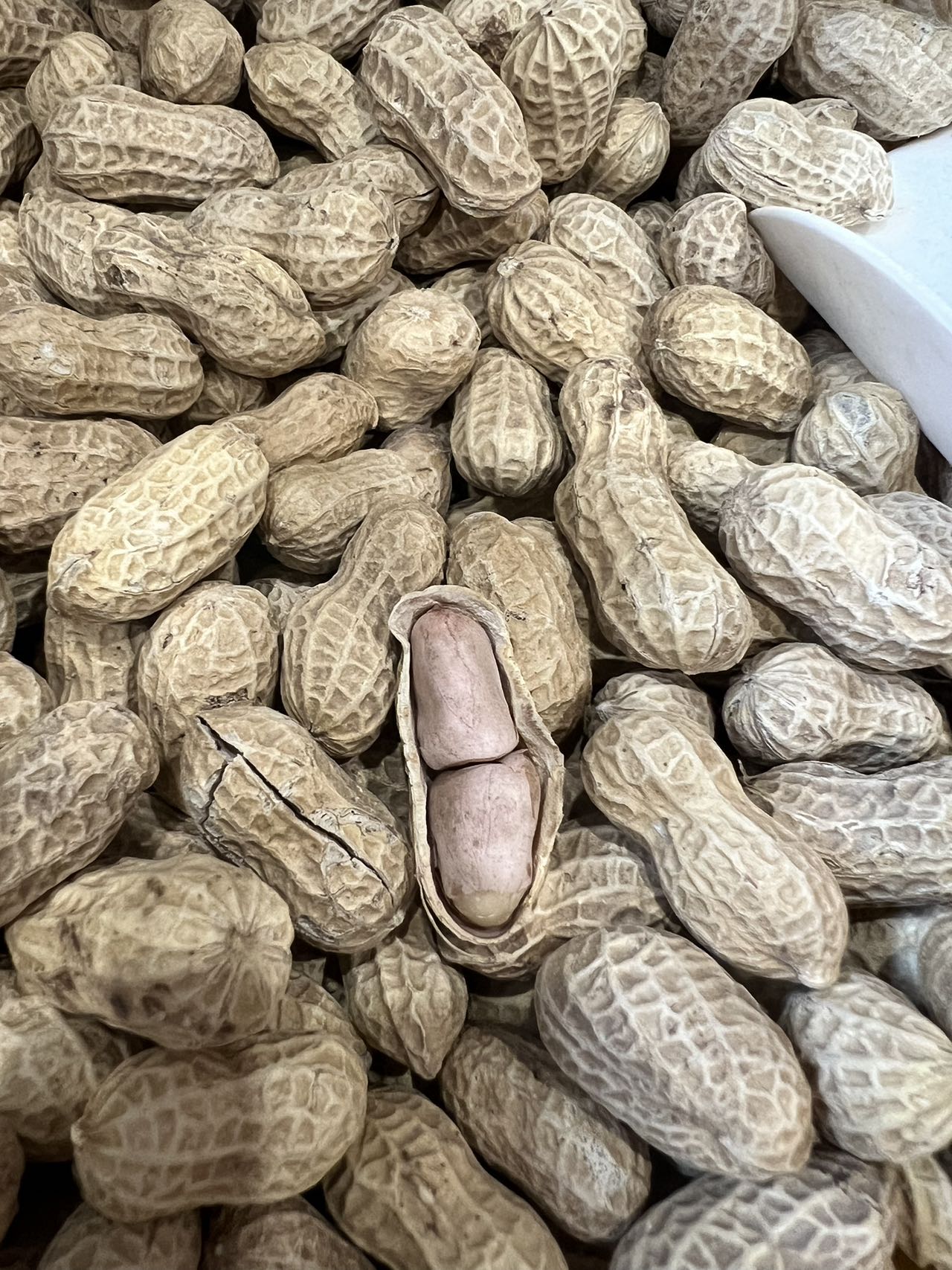 新口味花生🥜