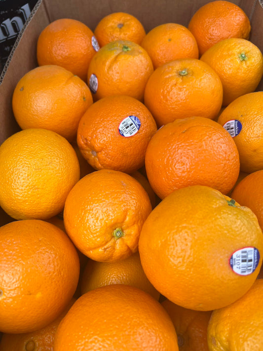 加洲Sunkist 甜橙