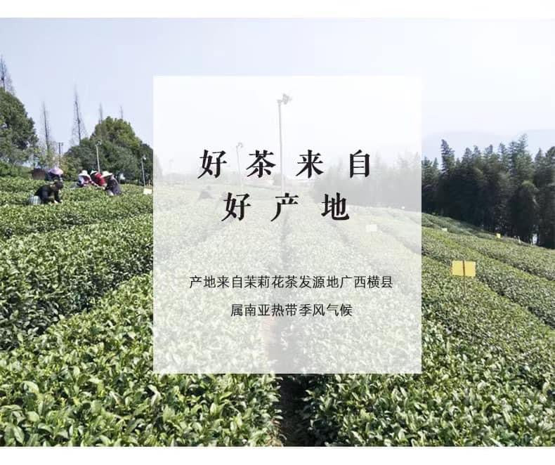 多倫多老字號王牌系列茶葉