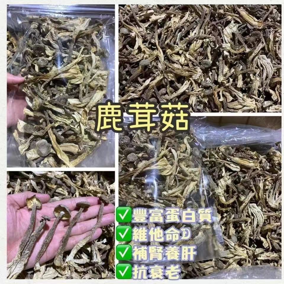 野生鹿茸菇  ( 一磅装 )  $20