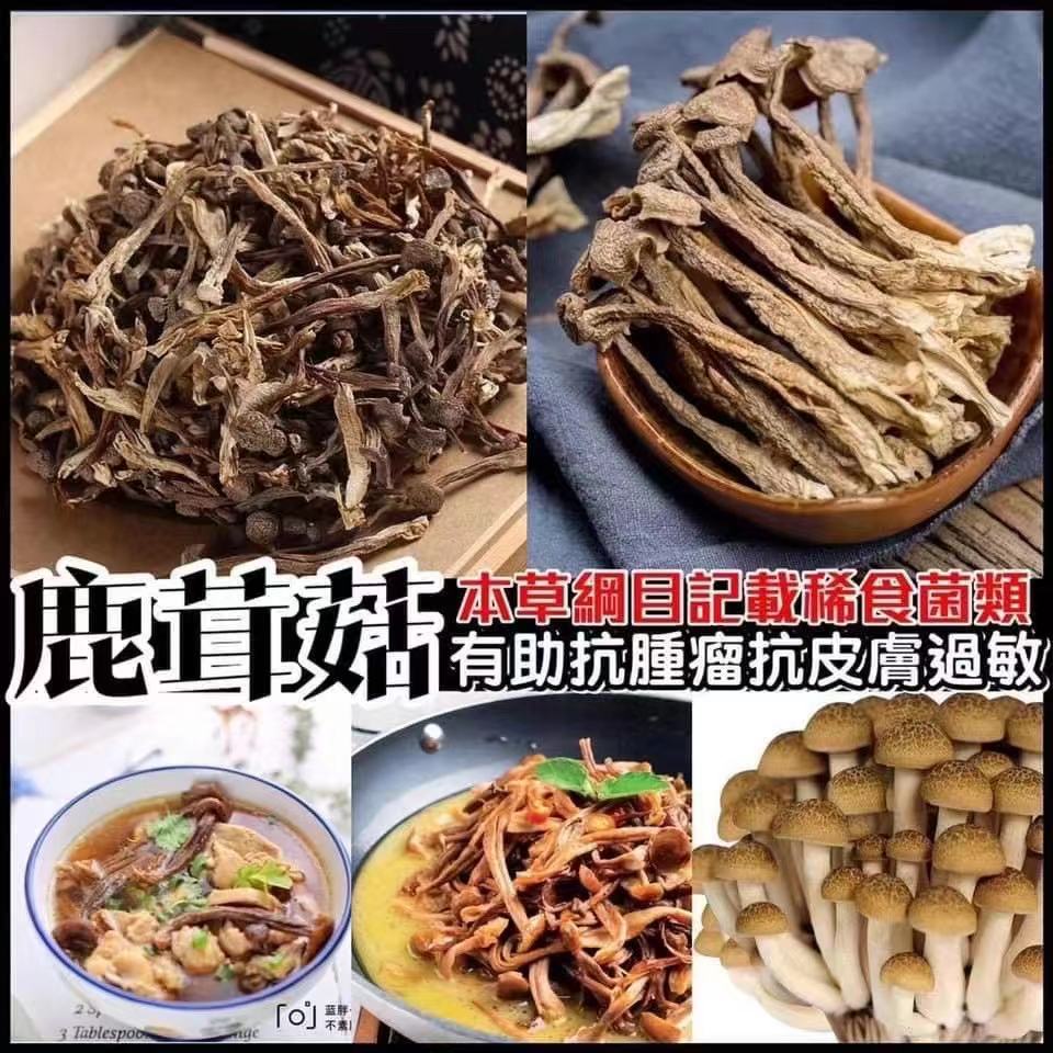 野生鹿茸菇  ( 一磅装 )  $20